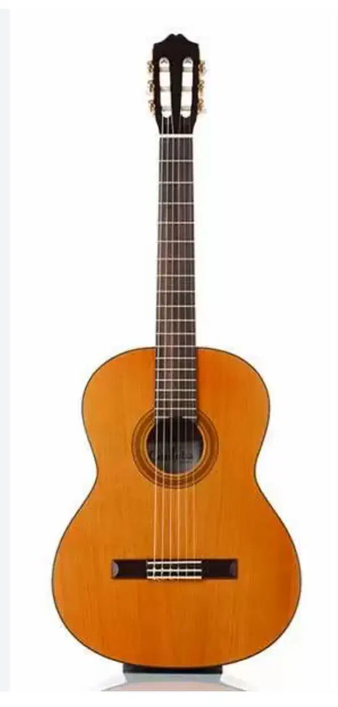 گیتار مارک یاماها|گیتار، بیس، امپلیفایر|تهران, افسریه شمالی|دیوار