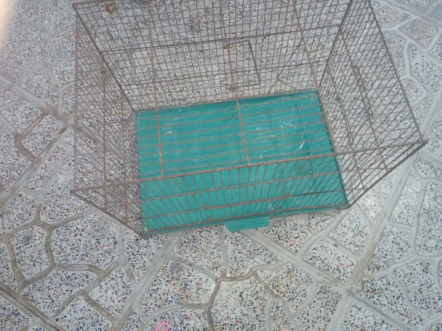 قفس بزرگ برای مرغ عشق و فنج هر نوع پرنده ای|لوازم جانبی حیوانات|کرمانشاه, |دیوار