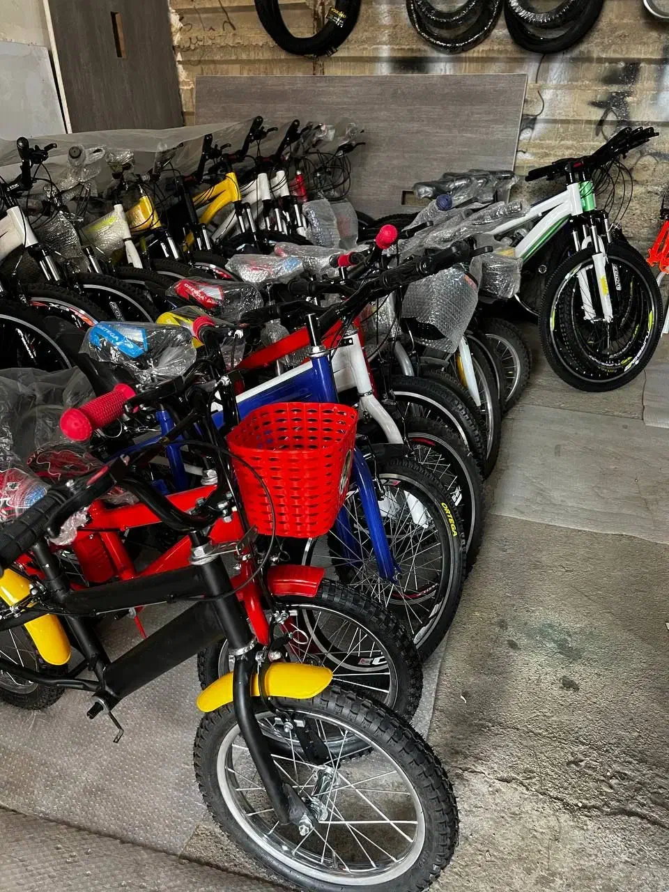 ))فروش دوچرخههای استاندارد به قیمت کارخانه+|دوچرخه، اسکیت، اسکوتر|مشکیندشت, |دیوار