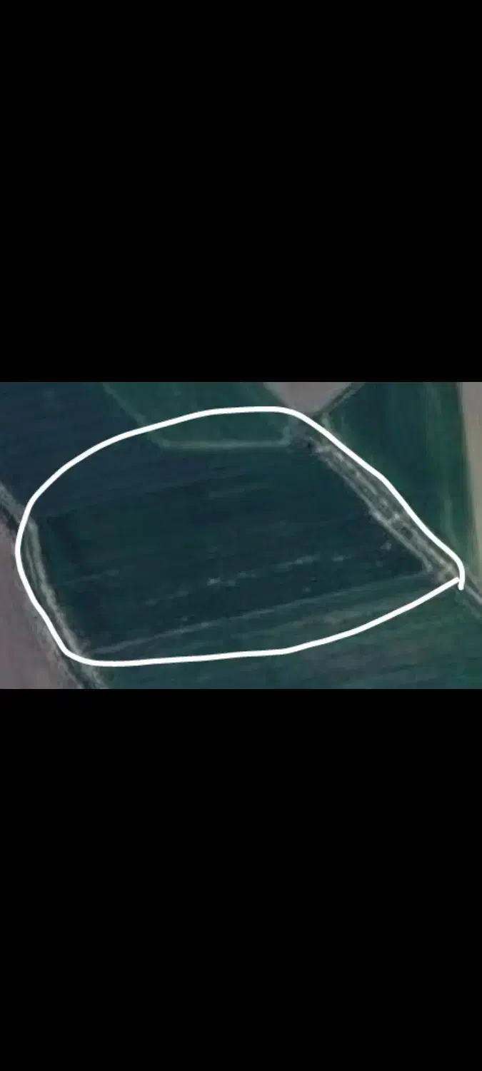 فروش زمین از زمین های واگذاری مرغوب کشت صنعت|فروش دفتر صنعتی، کشاورزی، تجاری|پارسآباد, |دیوار