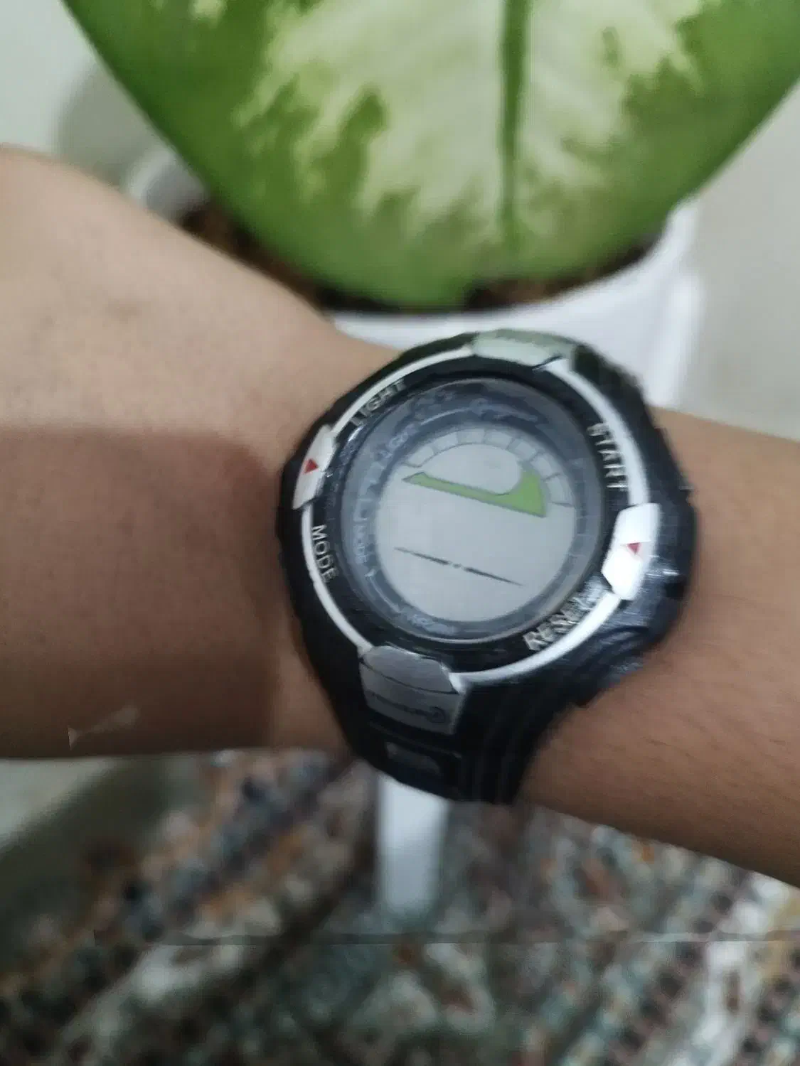 ساعت|ساعت|بیرجند, |دیوار