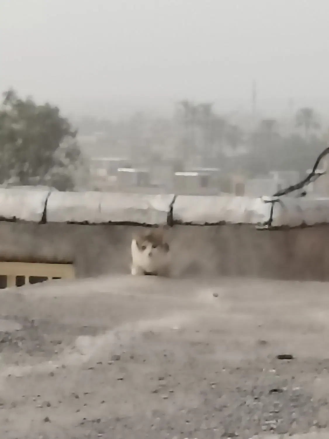 کولر گازی|کولر گازی و فن‌کوئل|ایرانشهر, |دیوار