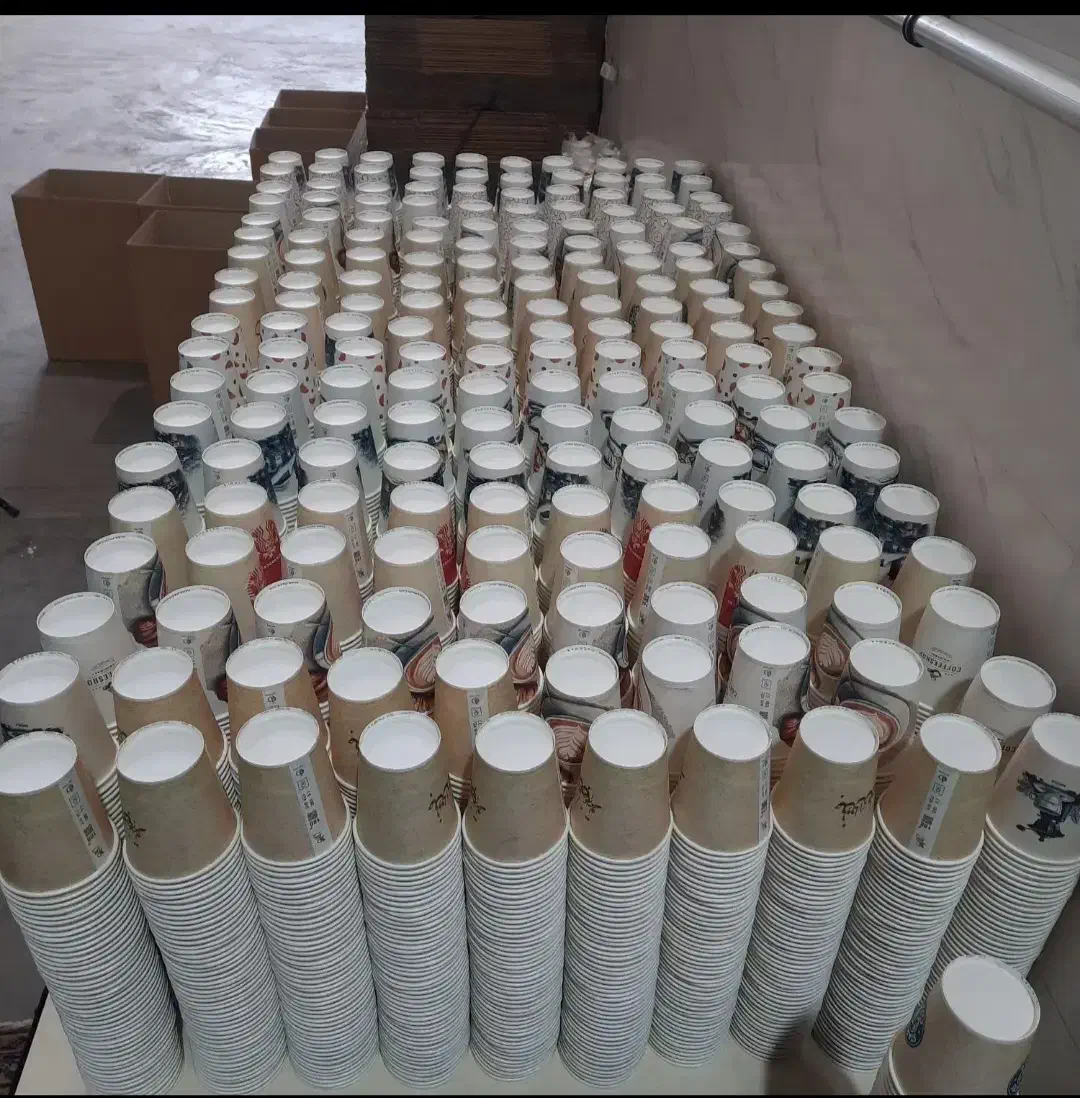 تولید لیوان کاغذی پارس رویال با بهترین کیفیت|ظروف نگهدارنده، پلاستیکی، یکبارمصرف|میاندوآب, |دیوار