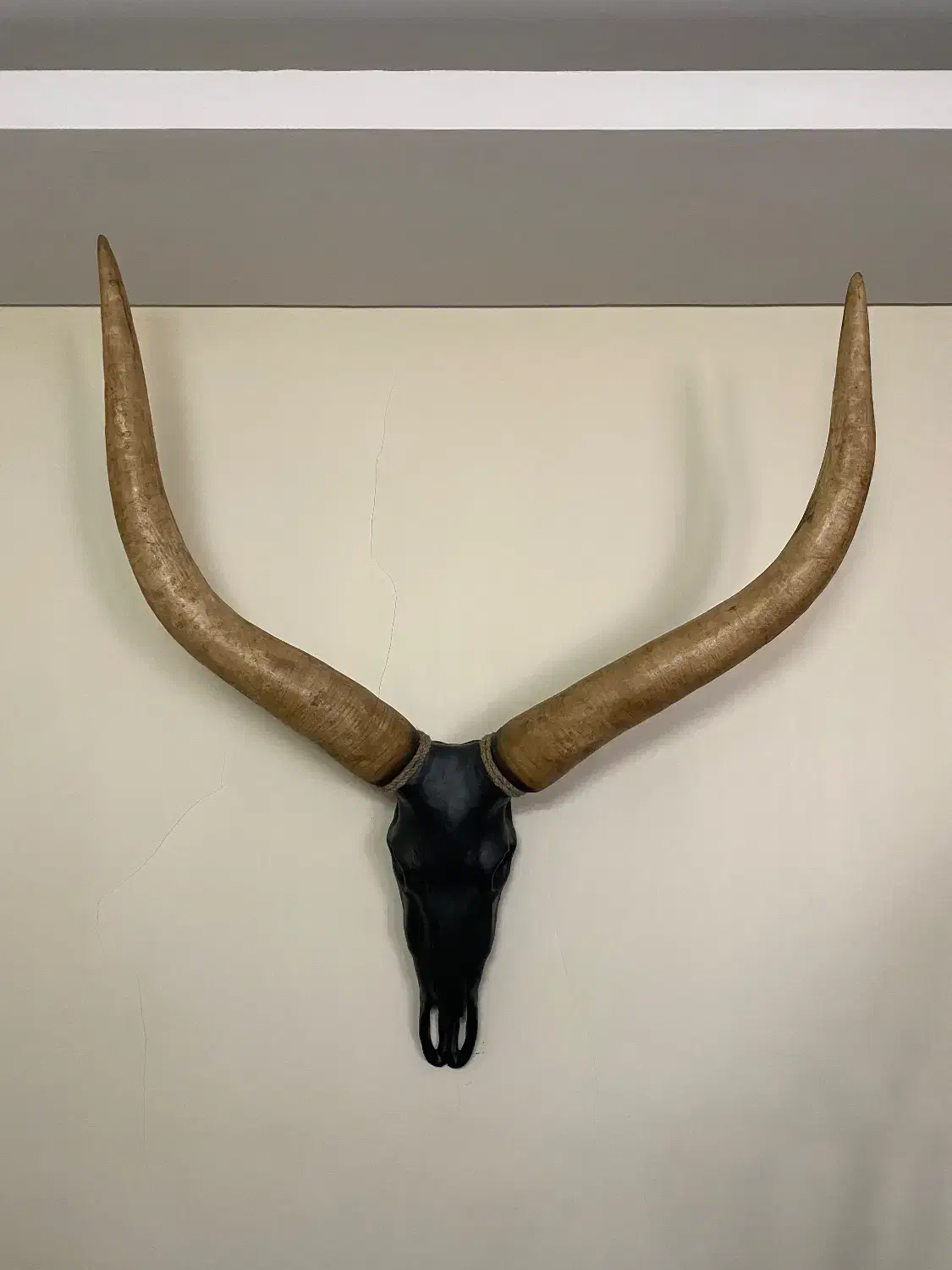 مجسمه دیواری|مجسمه، تندیس، ماکت|تهران, سید خندان (جلفا)|دیوار