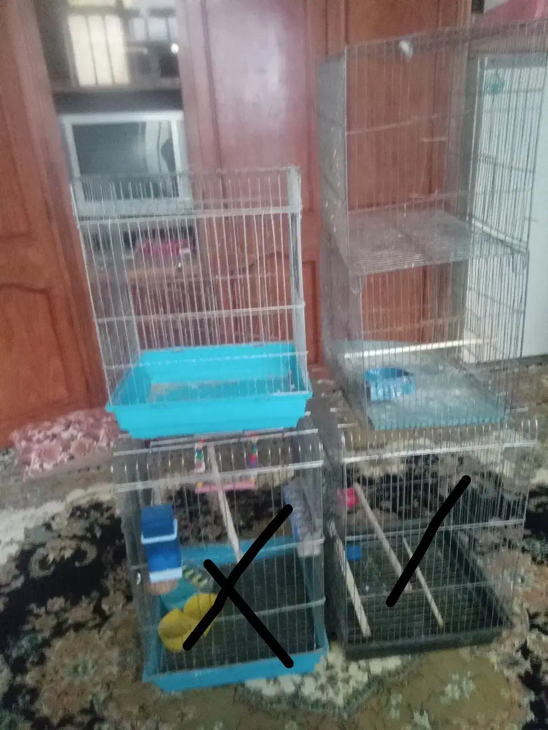 ۳عدد قفس ۶۰۰هزار|لوازم جانبی حیوانات|بروجرد, |دیوار