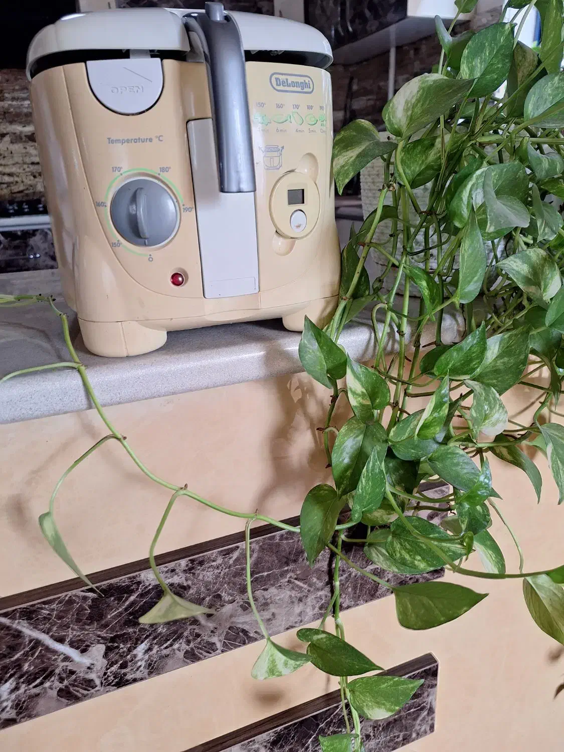 سرخ کن|کافیشاپ و رستوران|رشت, ساغری سازان|دیوار