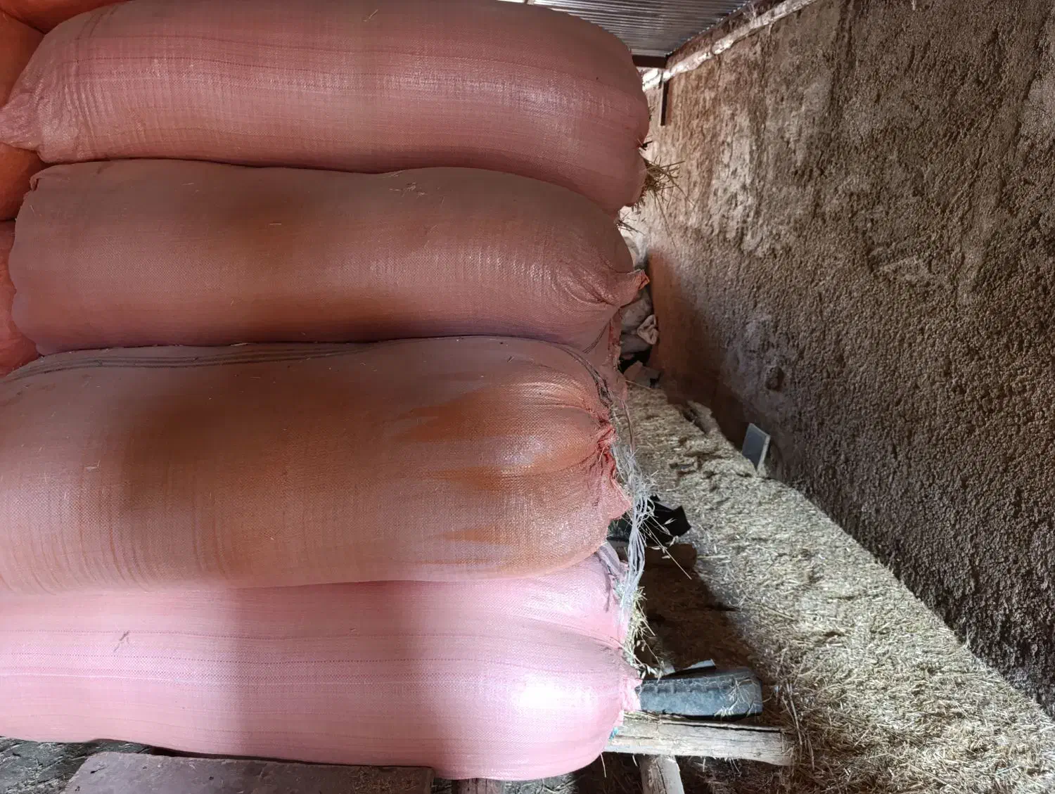 کاه جو|لوازم جانبی حیوانات|هندمینی, |دیوار