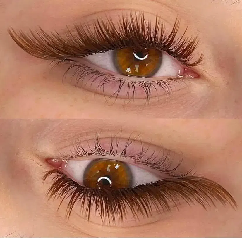 اکستنشن مژه vip داخل منزل شما تخصصی شمال تهران|خدمات آرایشگری و زیبایی|تهران, زعفرانیه|دیوار