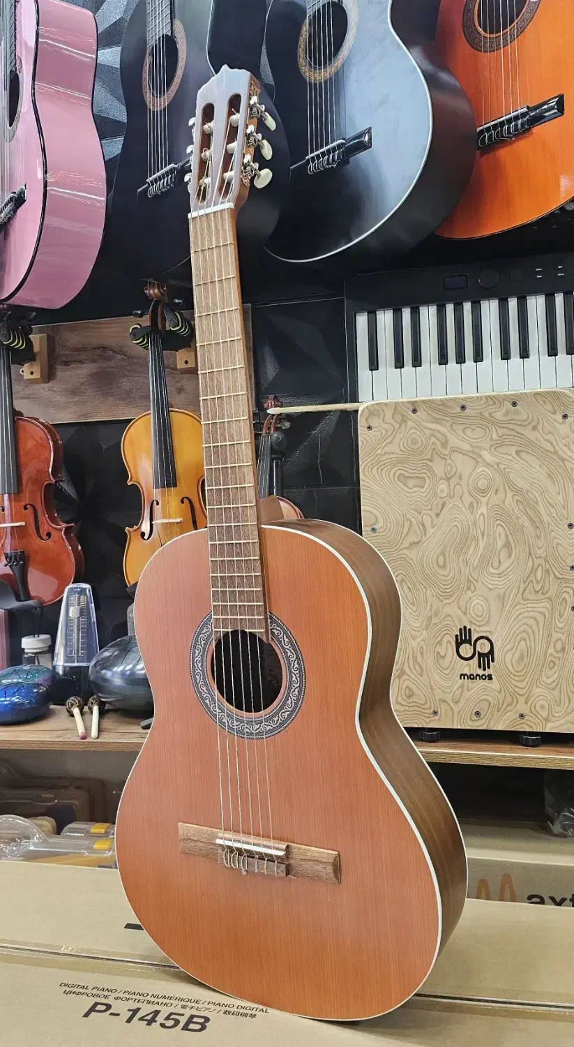 گیتار پارسی|گیتار، بیس، امپلیفایر|محمدیه-قزوین, |دیوار