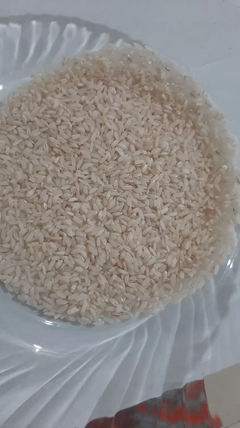 برنج عنبر بو دره شهر|خوردنی و آشامیدنی|دره شهر, |دیوار