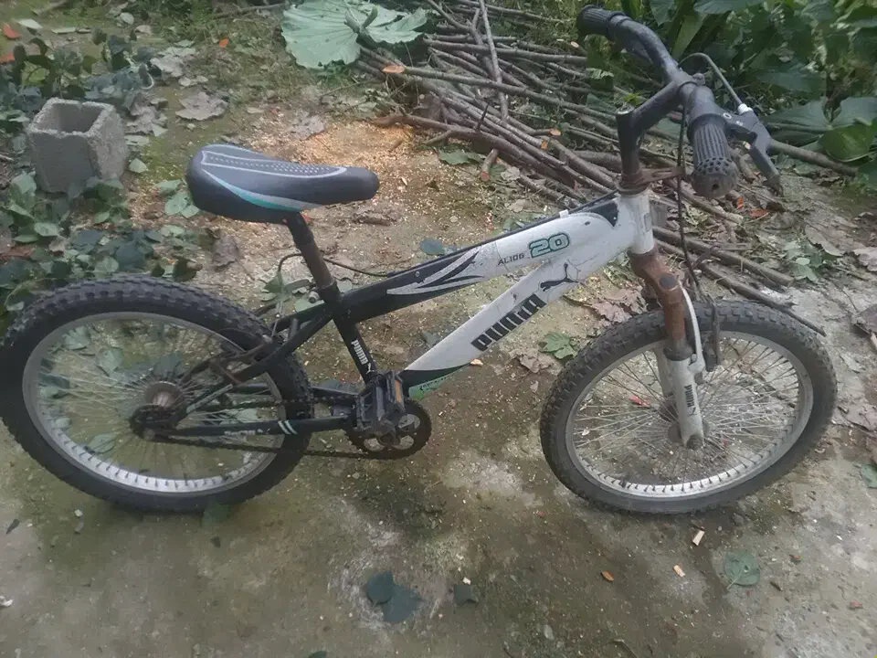 دوچرخه سایز ۲۰|دوچرخه، اسکیت، اسکوتر|گوراب زرمیخ, |دیوار