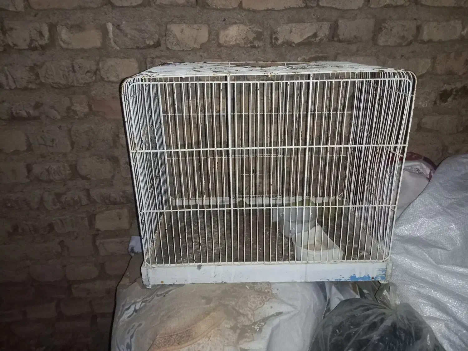 قفس|لوازم جانبی حیوانات|فردوس (خراسان), |دیوار