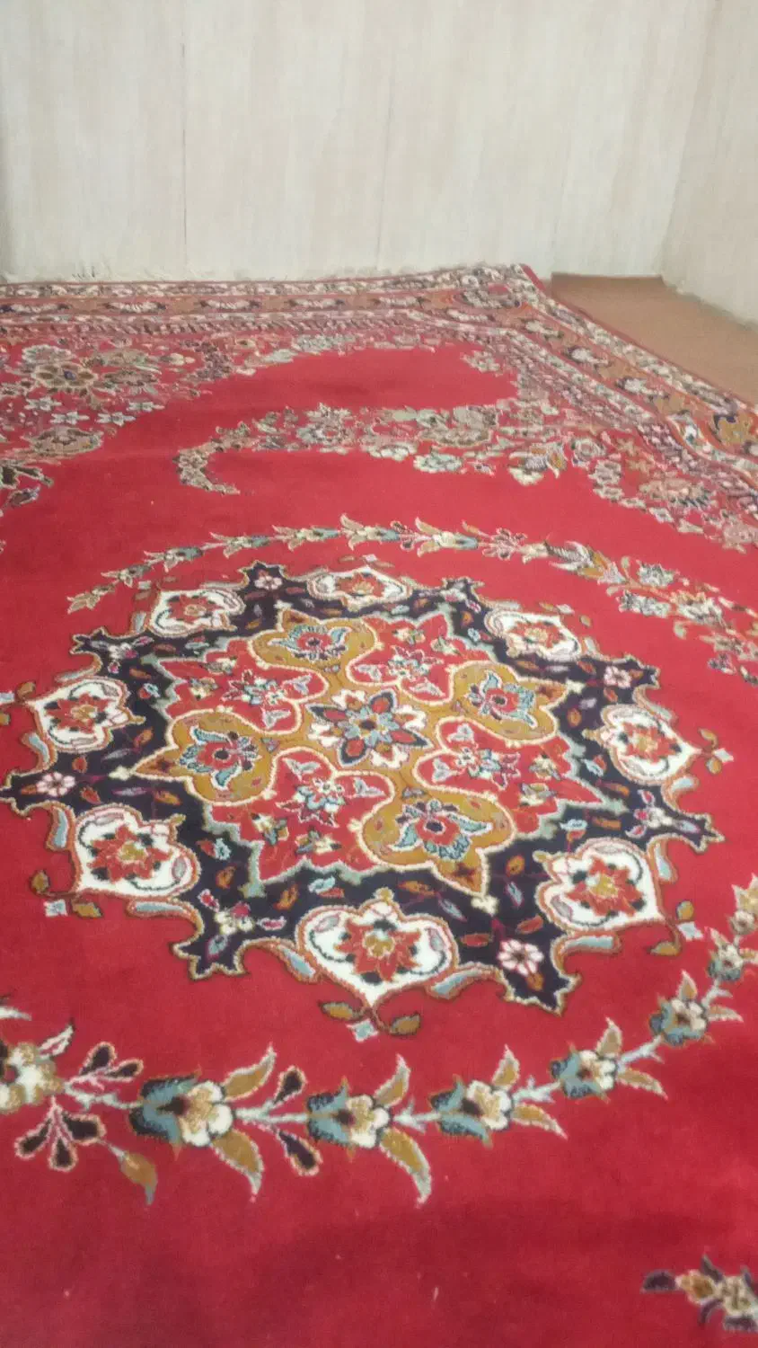 فرش ۶متری محکم و تمیز|فرش|فسا, |دیوار