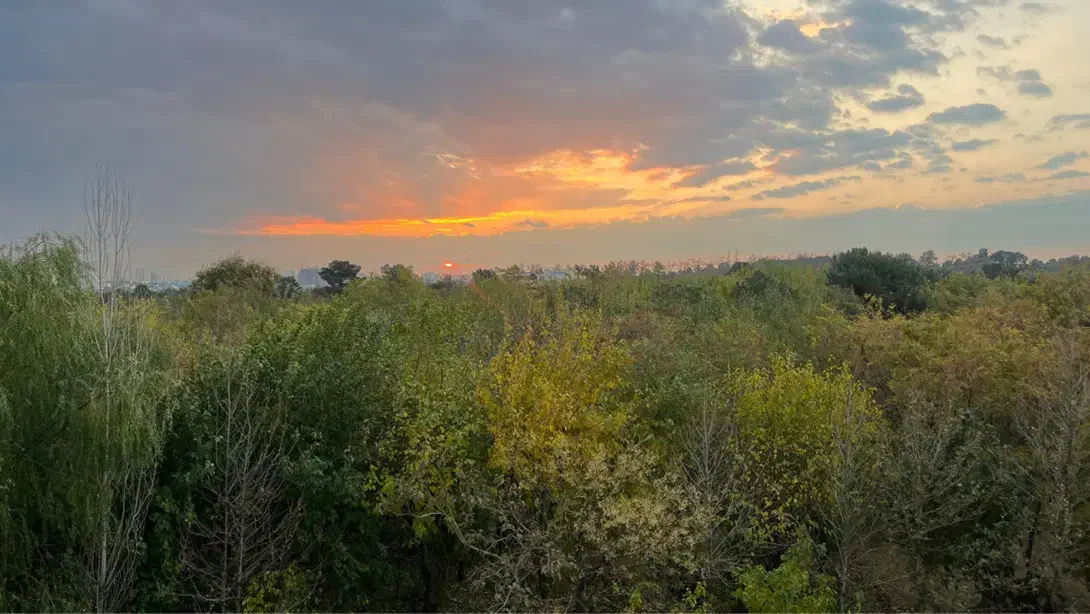 ۱۱۱متر/۲خواب/ویو ابدی جنگل/جنوبی/دریاچه چیتگر