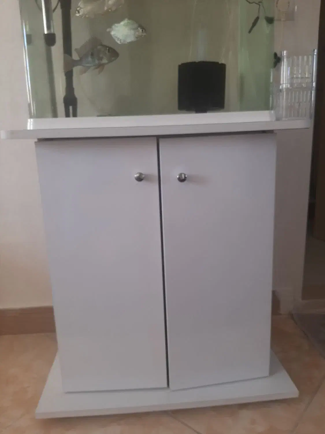 اکواریوم دلسا|ماهی|اندیشه, اندیشه فاز ۲|دیوار