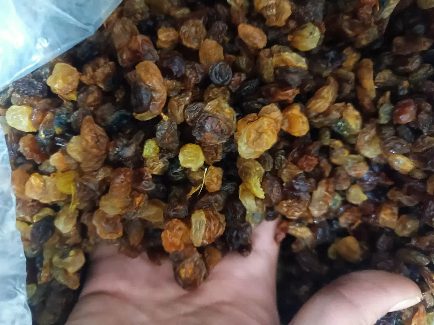 کشمش اعلا|خوردنی و آشامیدنی|قم, نیروگاه|دیوار