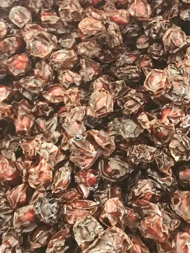 آلوچه|خوردنی و آشامیدنی|بجنورد, |دیوار