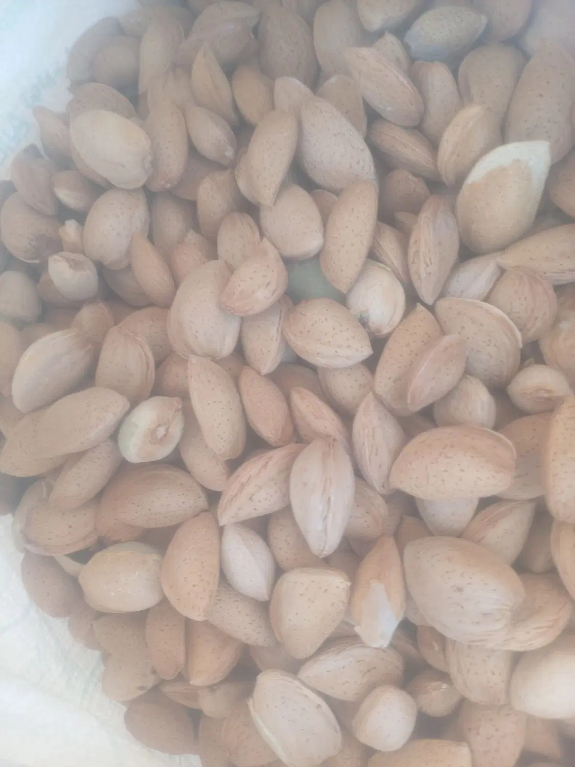بادام|خوردنی و آشامیدنی|بوانات, |دیوار
