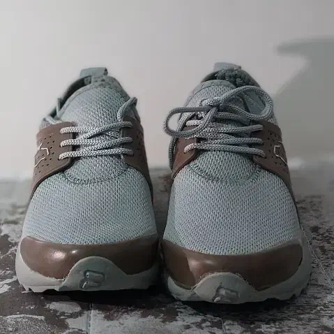 کفش|کیف، کفش، کمربند|دوگنبدان, |دیوار