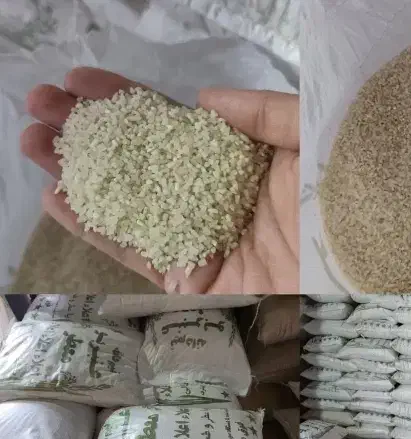 برنج عنبربو|خوردنی و آشامیدنی|الیگودرز, |دیوار