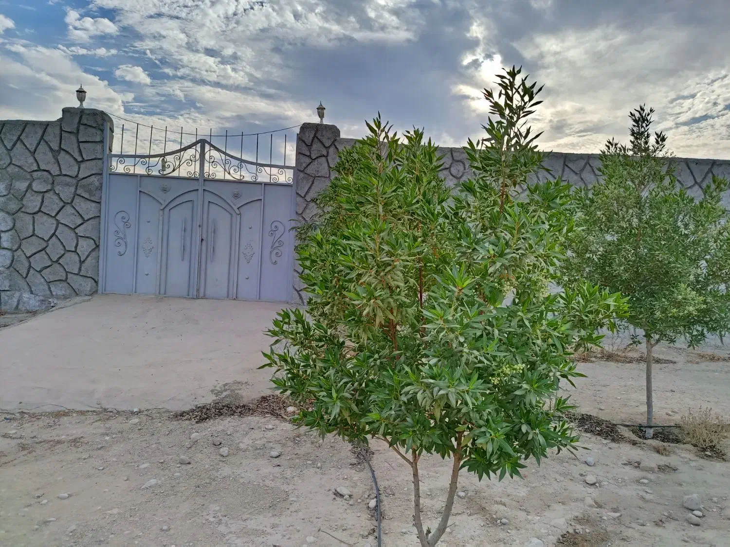 انبار.کارگاه.لب اتوبان چغادک (اجاره یا فروش)|فروش دفتر صنعتی، کشاورزی، تجاری|چغادک, |دیوار