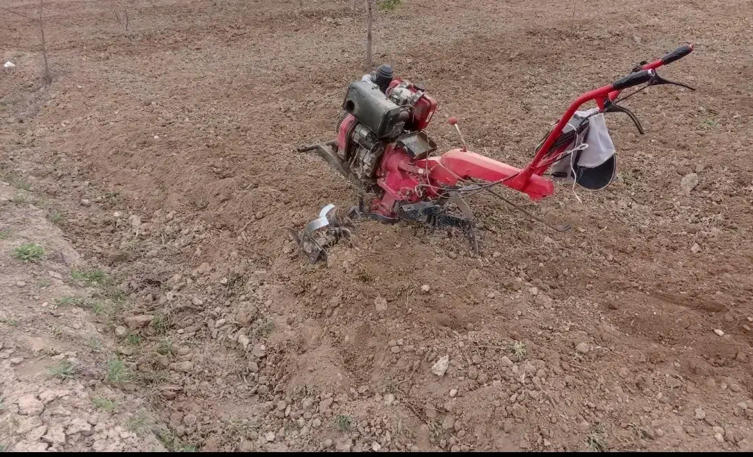 شخم زنی با کلتیواتور|خدمات باغبانی و درختکاری|مرند, |دیوار