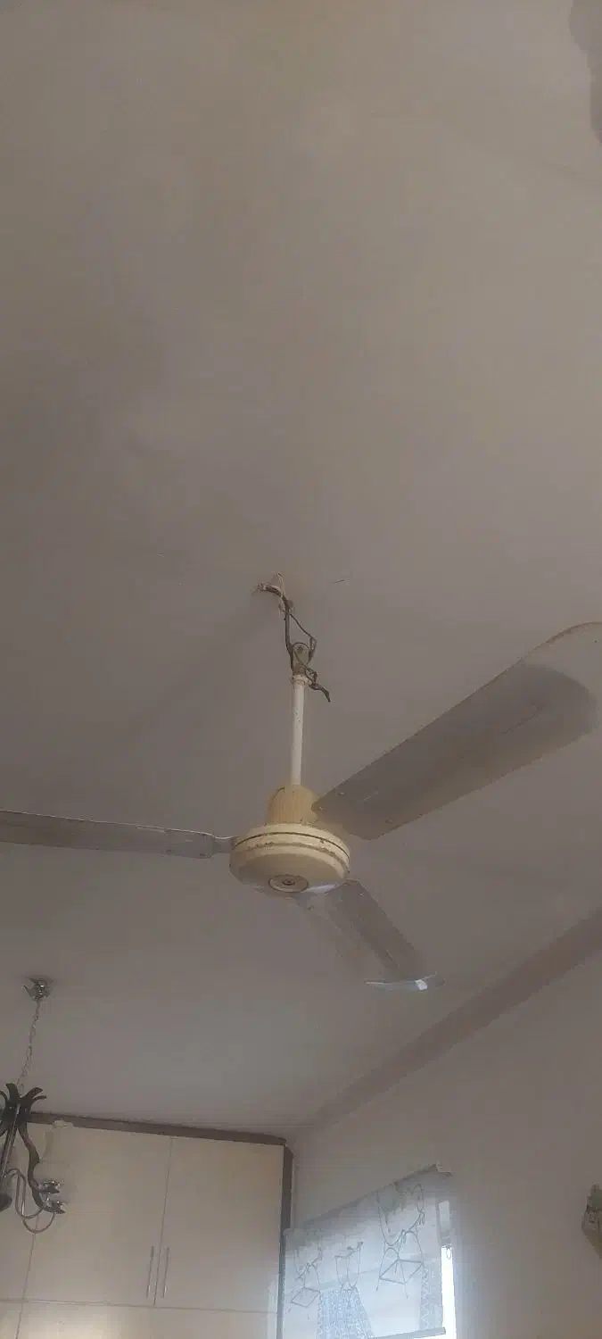 لوستر و پنکه سقفی|لوستر و چراغ آویز|زاهدان, |دیوار