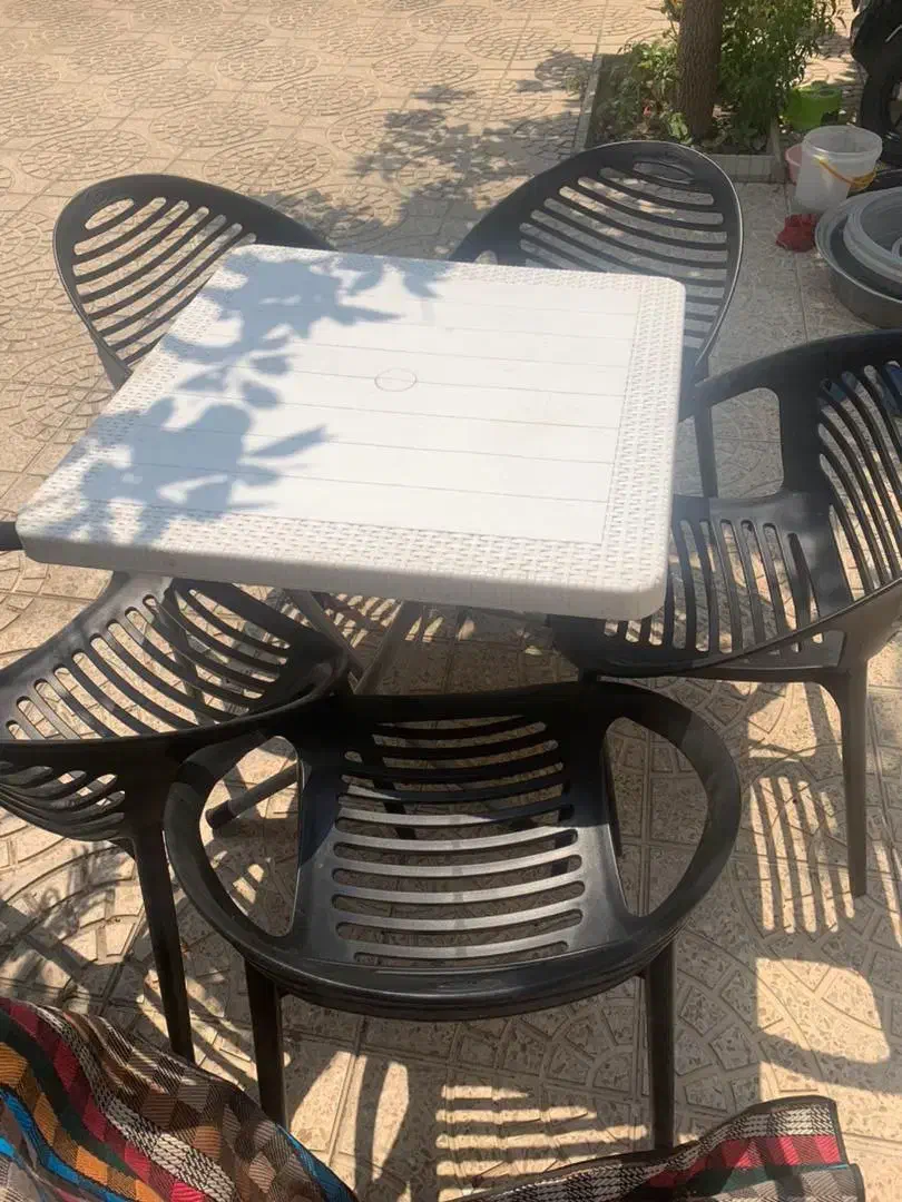 صندلی|کافیشاپ و رستوران|مراغه, |دیوار