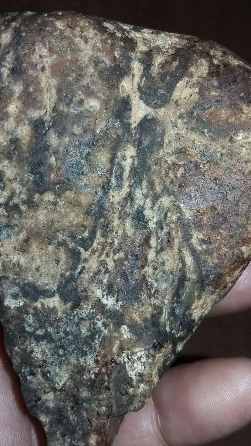 شهاب سنگ پالاسیت|کلکسیون و سرگرمی|تهران, میدان ولیعصر|دیوار