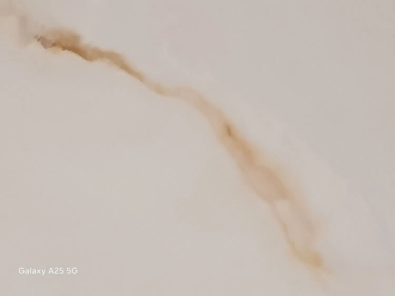 ترمیم ولکه گیری گچ ،نقاشی ساختمان|خدمات پیشه و مهارت|سبزوار, چهارراه فرودگاه|دیوار