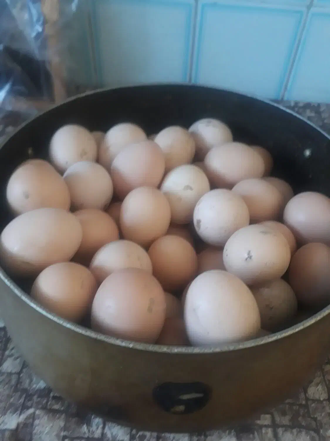 تخم مرغ محلی|خوردنی و آشامیدنی|نیشابور, گنبد سبز|دیوار