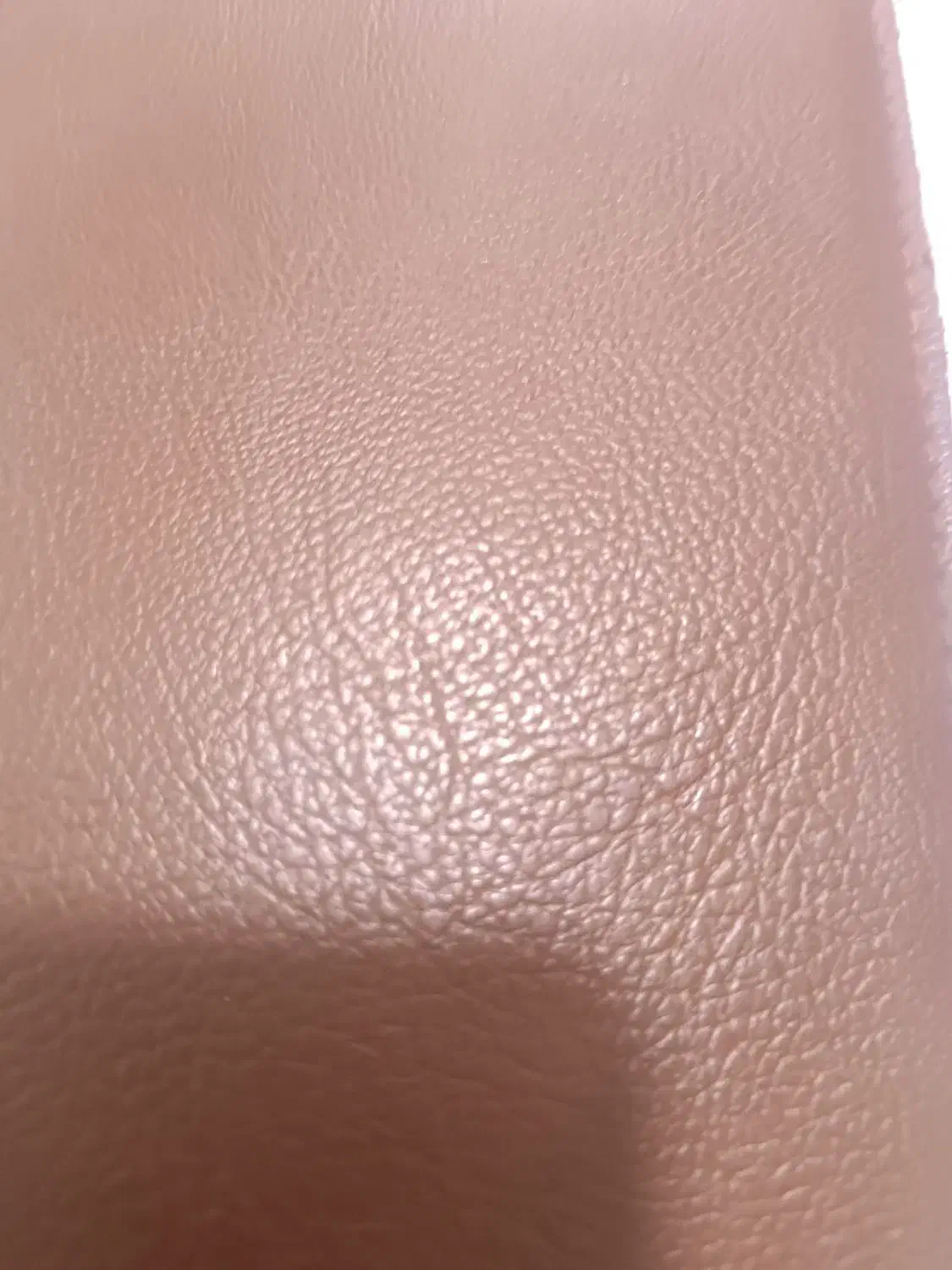 مدارک گم شده بنام سیدی|اشیا|بم, |دیوار