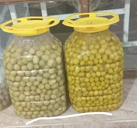 زیتون اعلا|عمده‌فروشی|قیدار, |دیوار