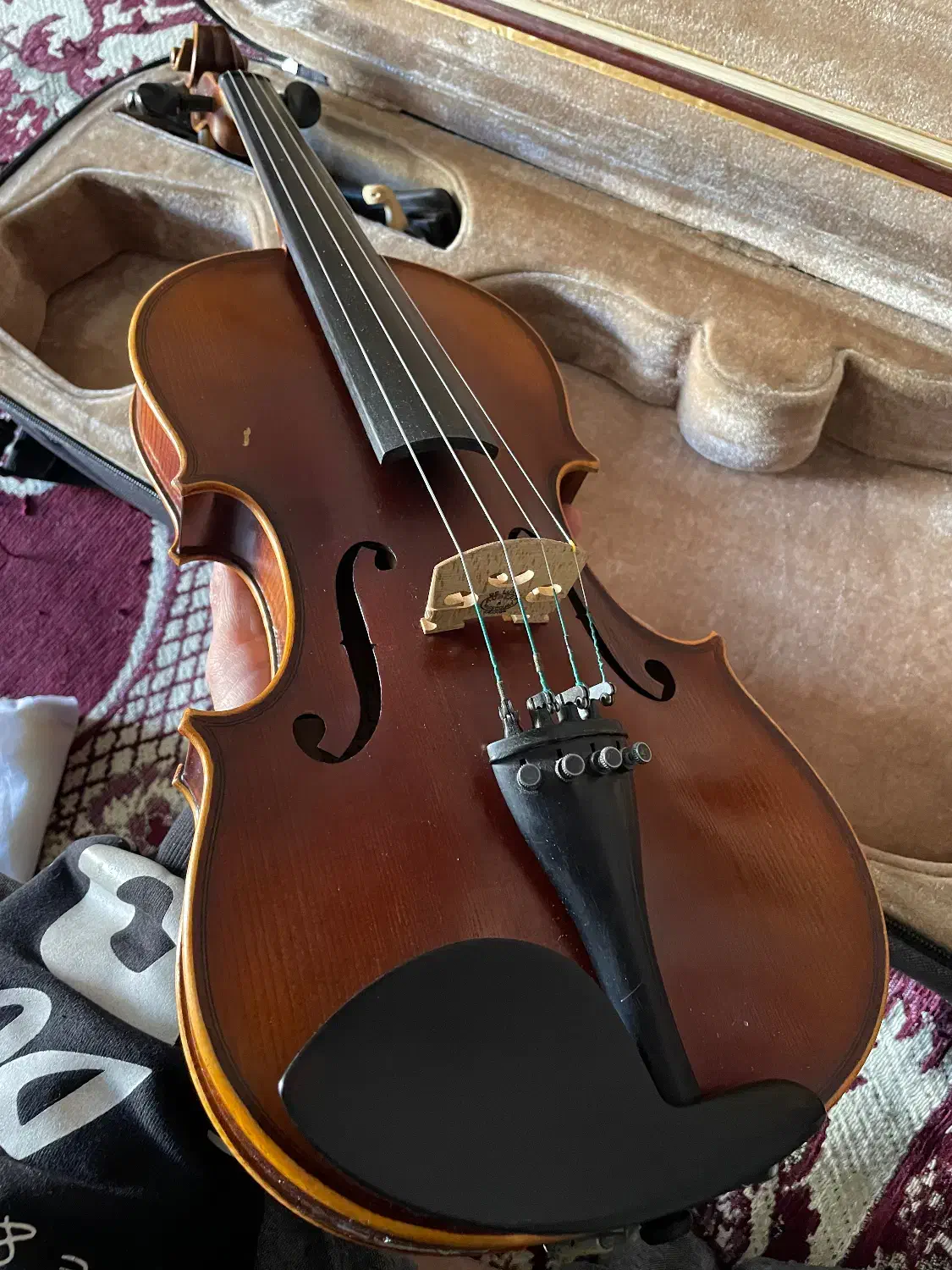 ویولن حرفه ای|ویولن|دوگنبدان, |دیوار