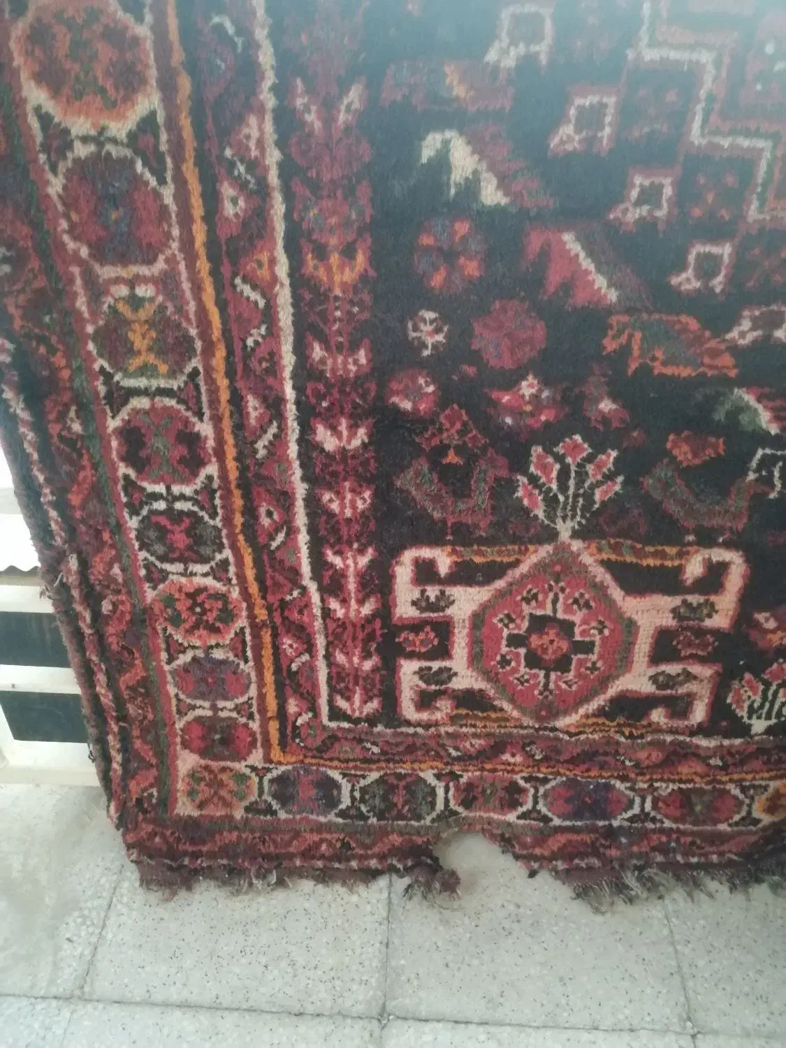 قالی ترکی دستباف قدیمی|فرش|شیراز, تاچارا|دیوار