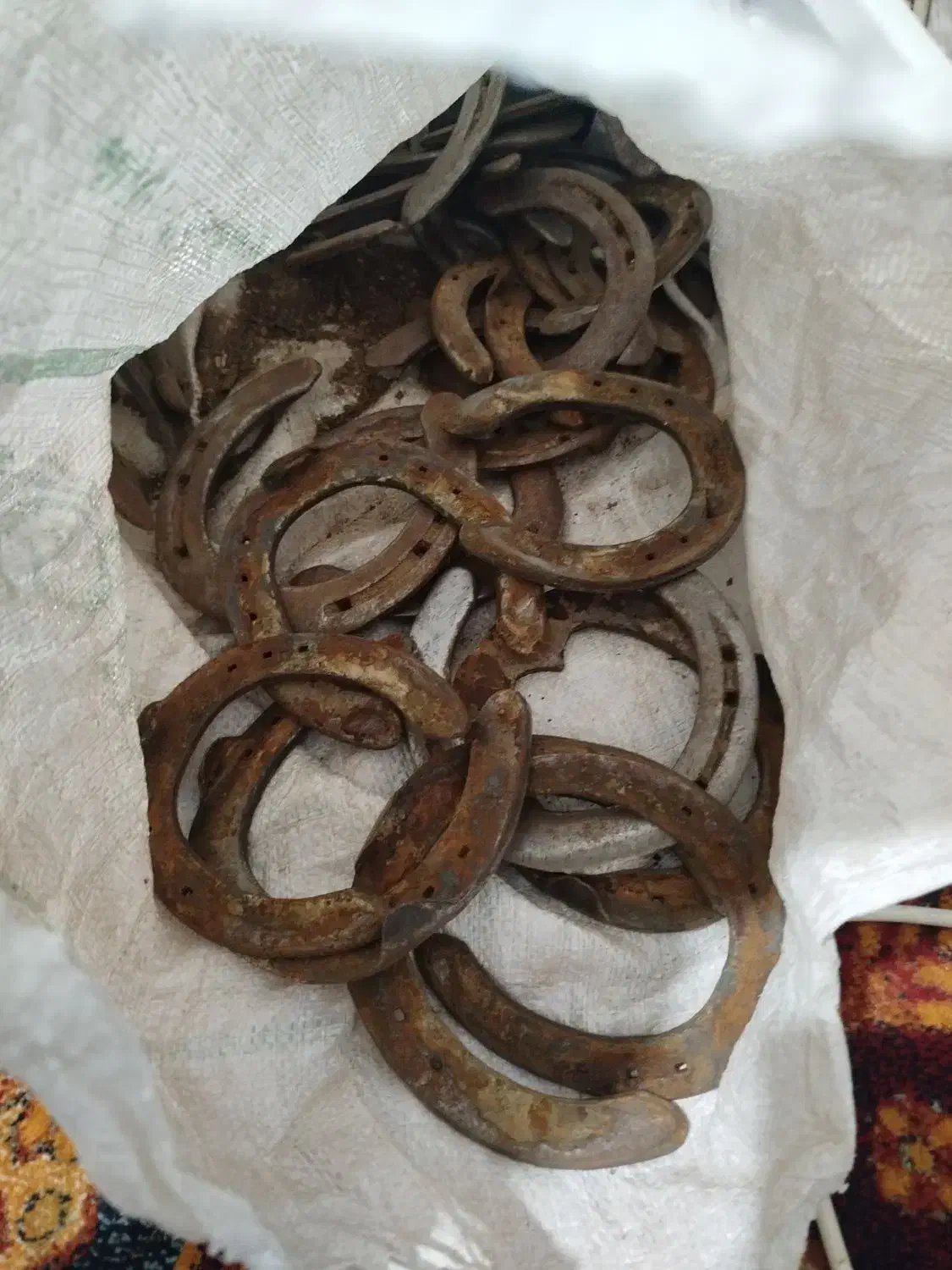 نعل اسب|اسب و تجهیزات اسبسواری|محمدشهر, محمدشهر|دیوار