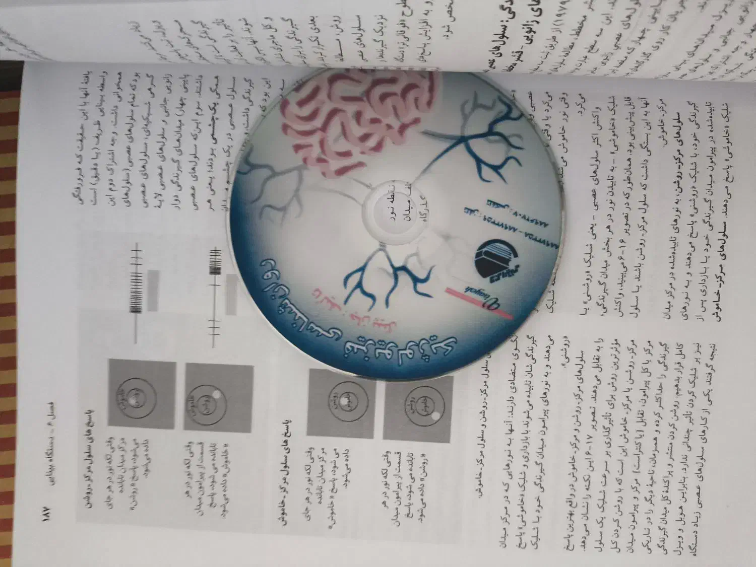روان شناسی فیزیولوژیک جان پینل ترجمه دکتر فیروزبخت|کتاب و مجله آموزشی|قائم‌شهر, |دیوار