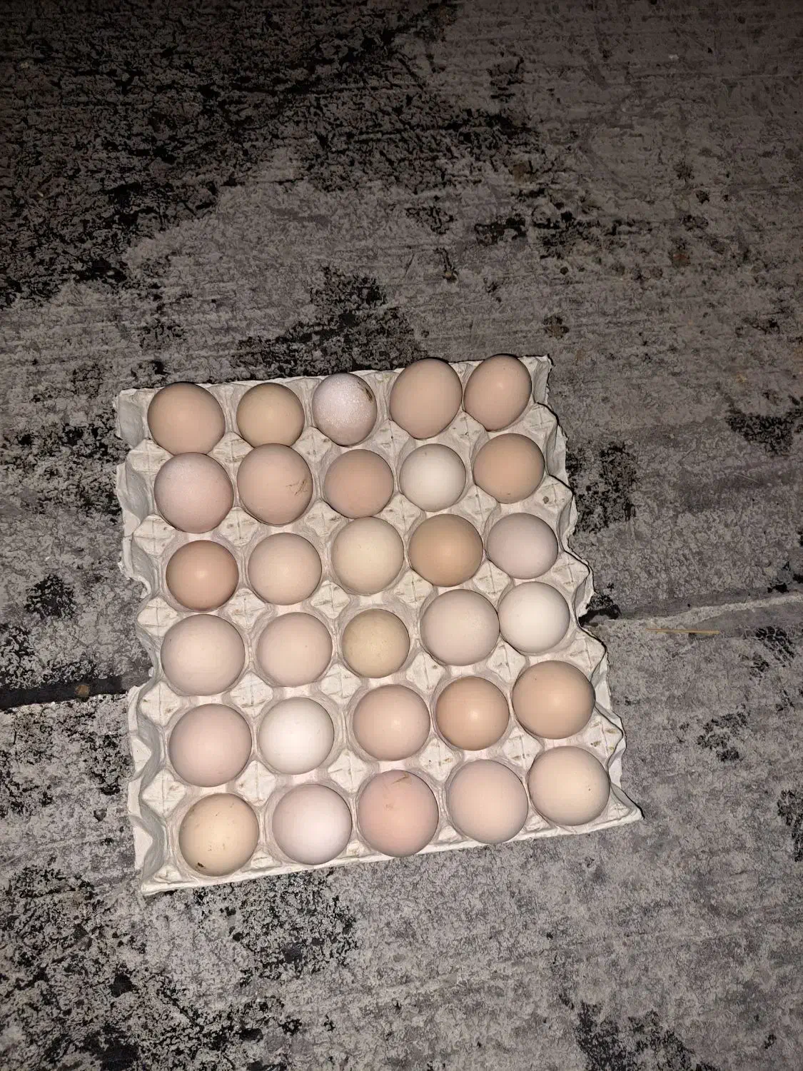 تخم مرغ محلی|خوردنی و آشامیدنی|شهریار, کهنز|دیوار
