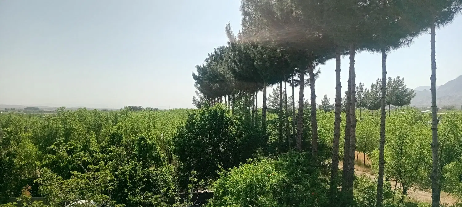 تصویر 13