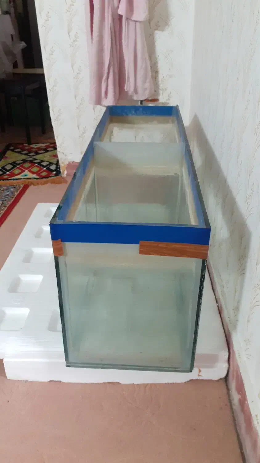 اکواریوم یک متری تر تمیز|ماهی|گرگان, |دیوار