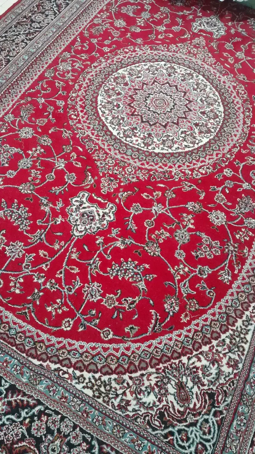 فرش|فرش|شاهرود, |دیوار