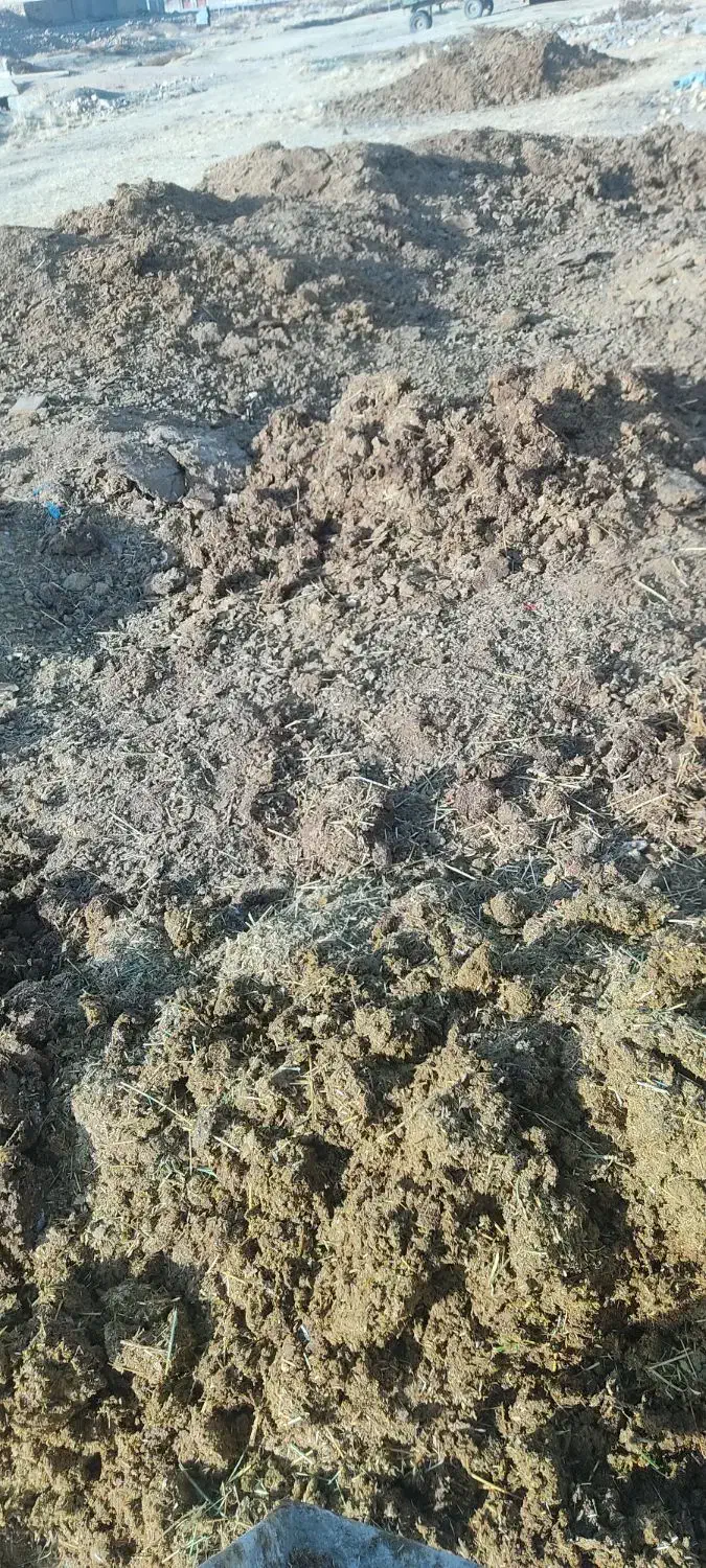 کود حیوانی|لوازم جانبی حیوانات|شیرین‌سو, |دیوار