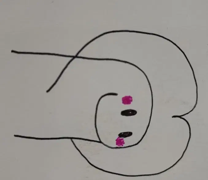 کتاب درسی پایه دهم یازدهم دوازدهم انسانی|کتاب و مجله آموزشی|تاکستان, |دیوار