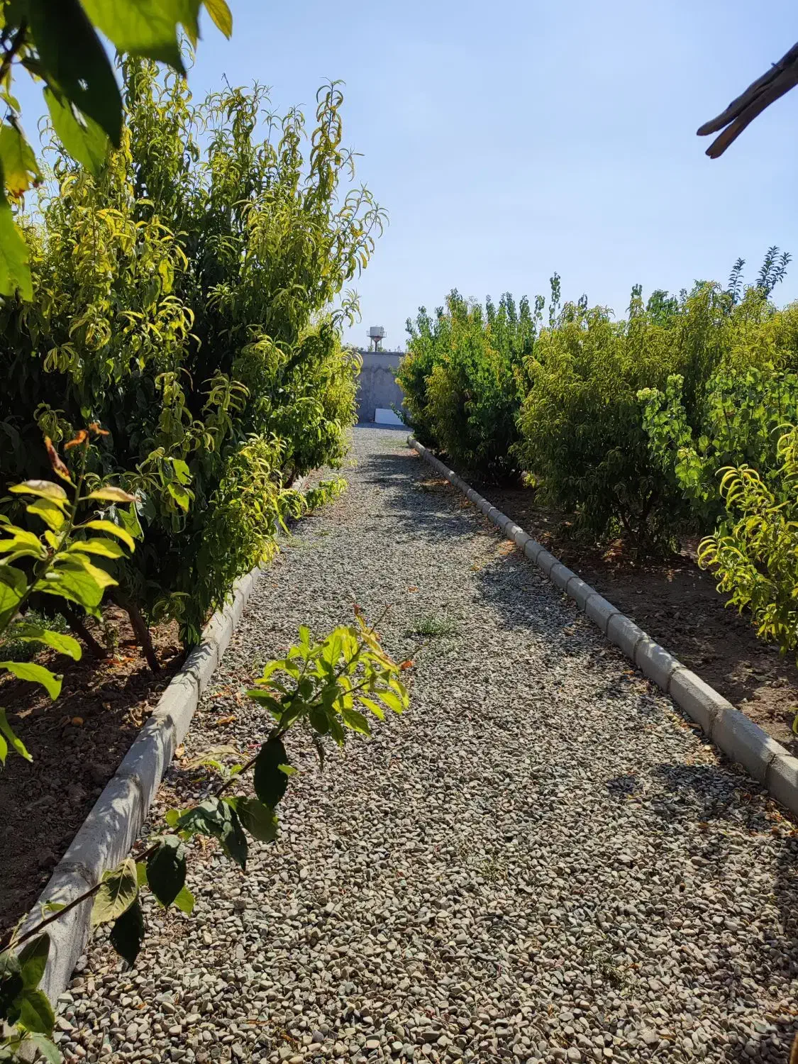 فروش باغچه|فروش زمین و ملک کلنگی|صباشهر, |دیوار