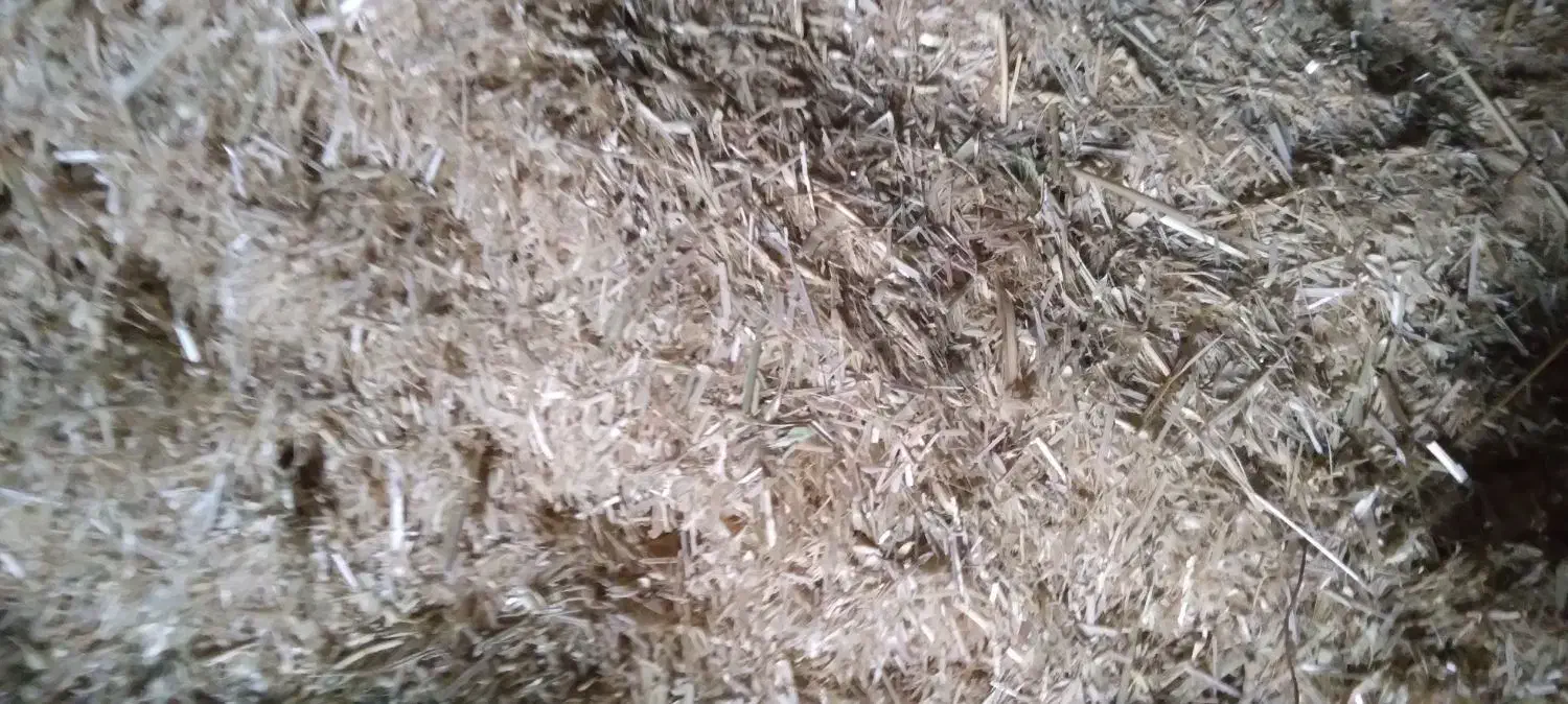 گندم کاه|گل و گیاه طبیعی|شیروان (لرستان), |دیوار