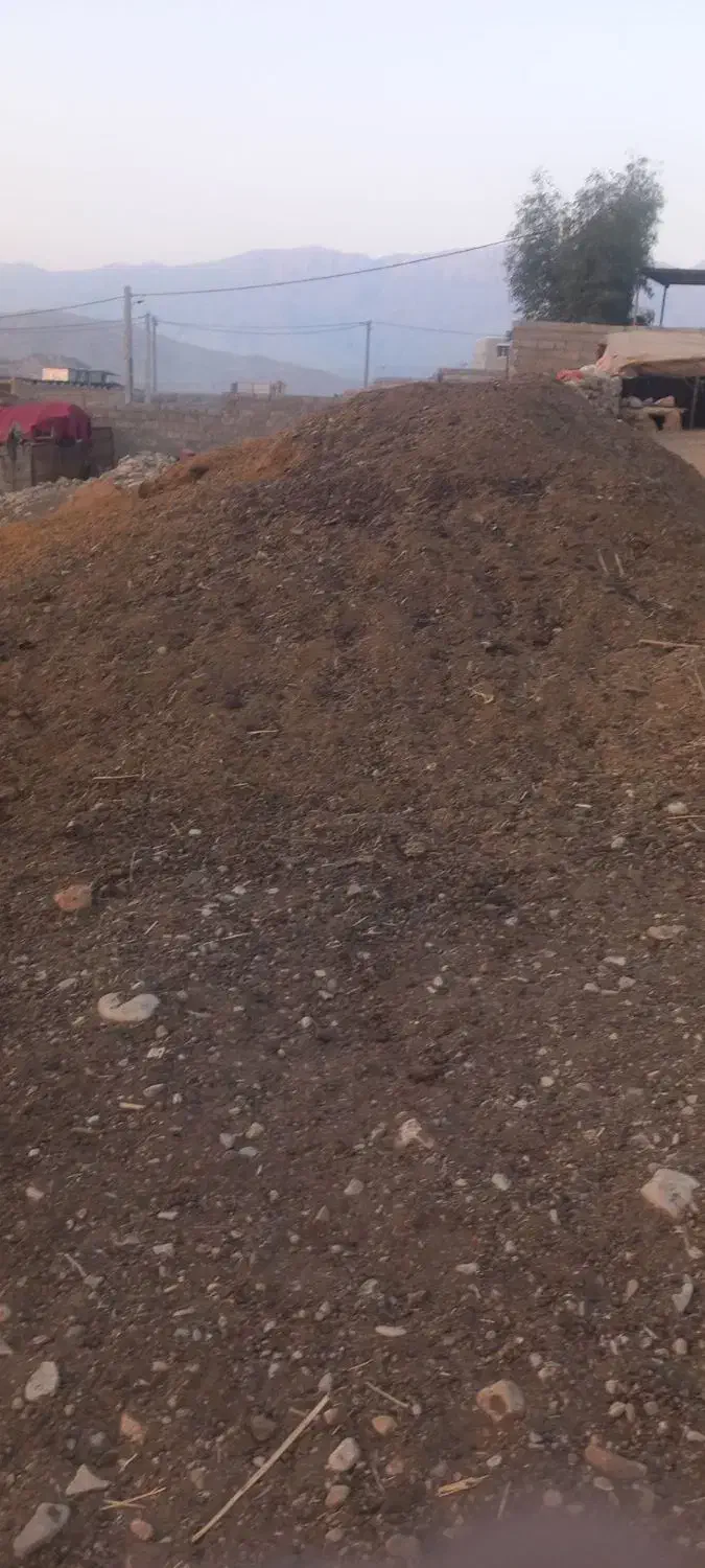 کود حیوانی|حراج|آبدانان, |دیوار