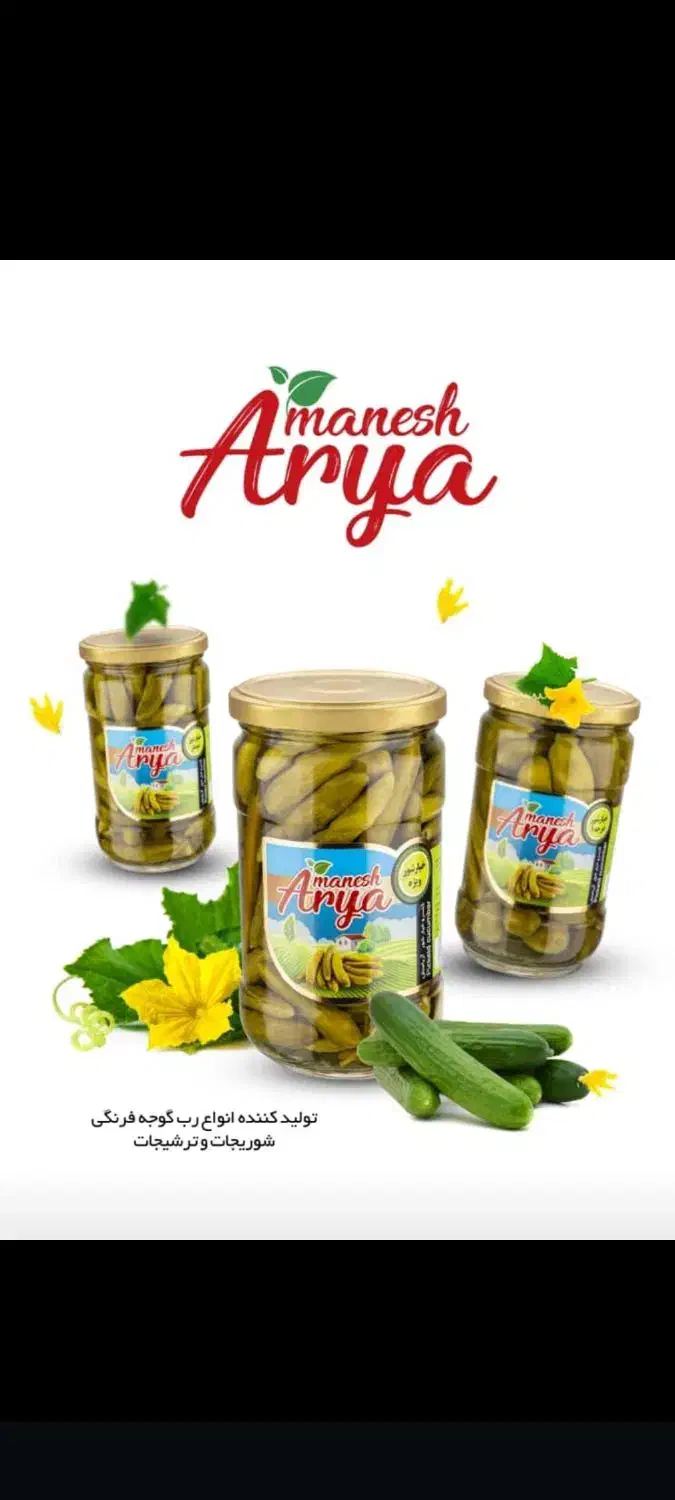 رب گوجه ، خیارشور ، زیتون آریامنش|عمده‌فروشی|شیراز, نیستان|دیوار