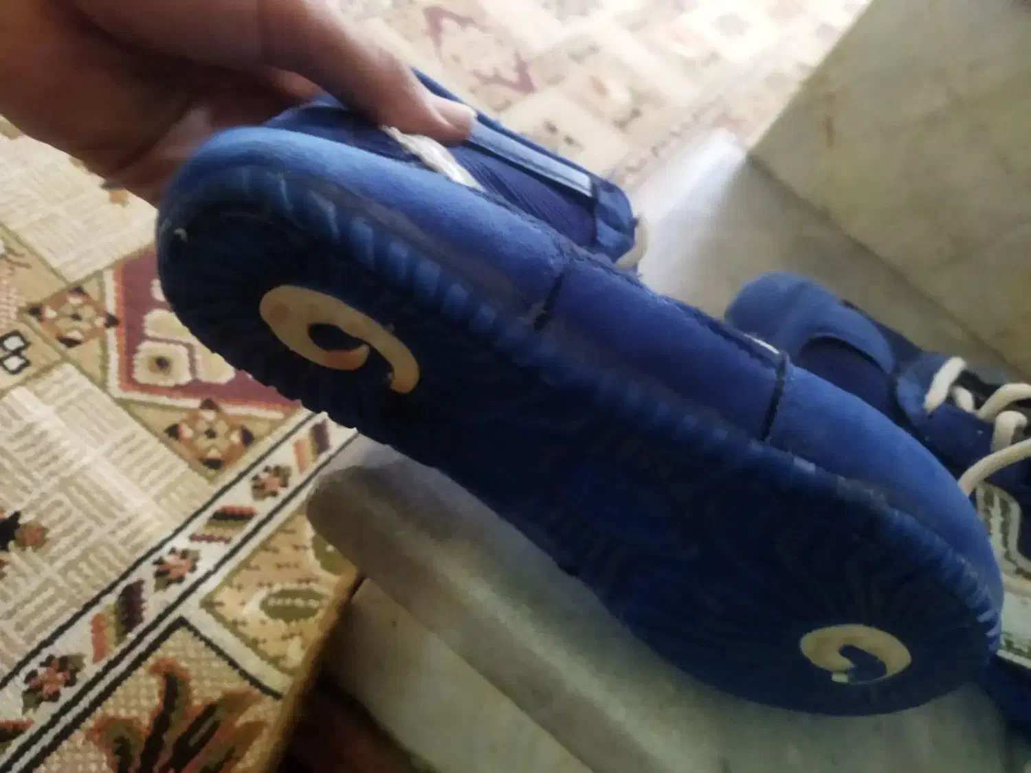 کفش کشتی در حد نو و تمیز|کیف، کفش، کمربند|سبزوار, شرق کال جنوبی (شمس آبادی)|دیوار