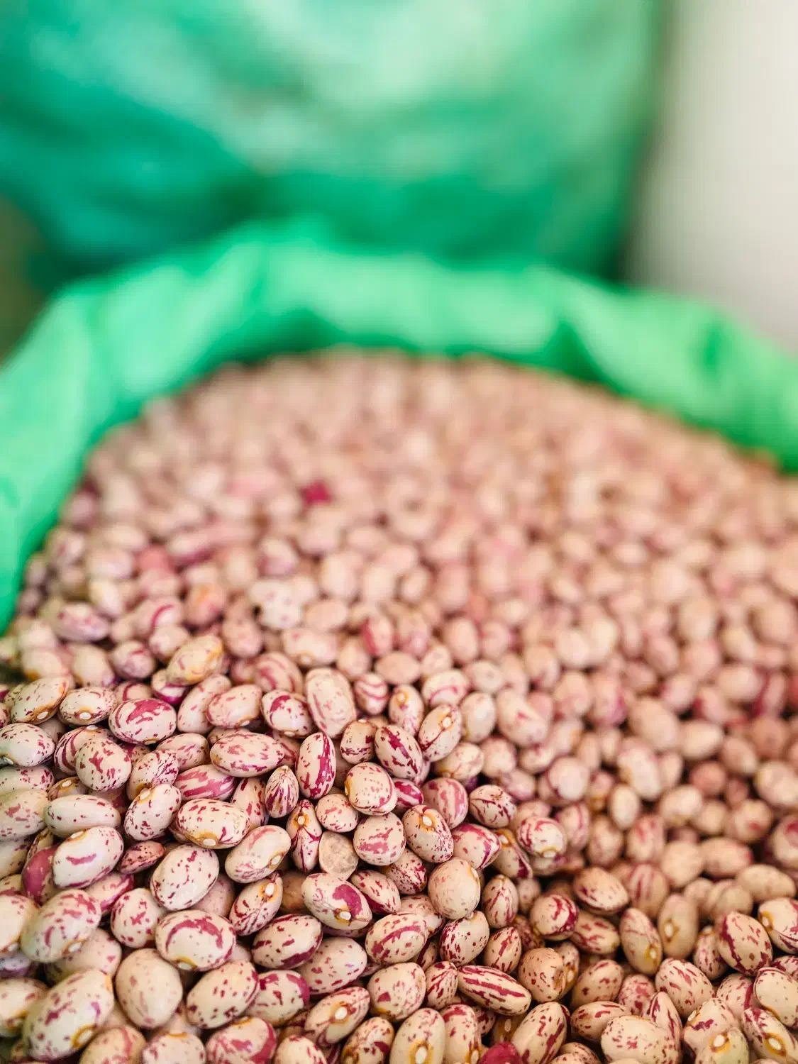 خشکبار افشاری|خوردنی و آشامیدنی|آبیک, |دیوار