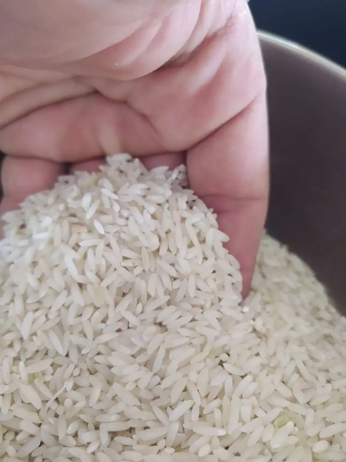 برنج سالم کاظمی درجه یک کشت اول|خوردنی و آشامیدنی|بیرانوند, |دیوار